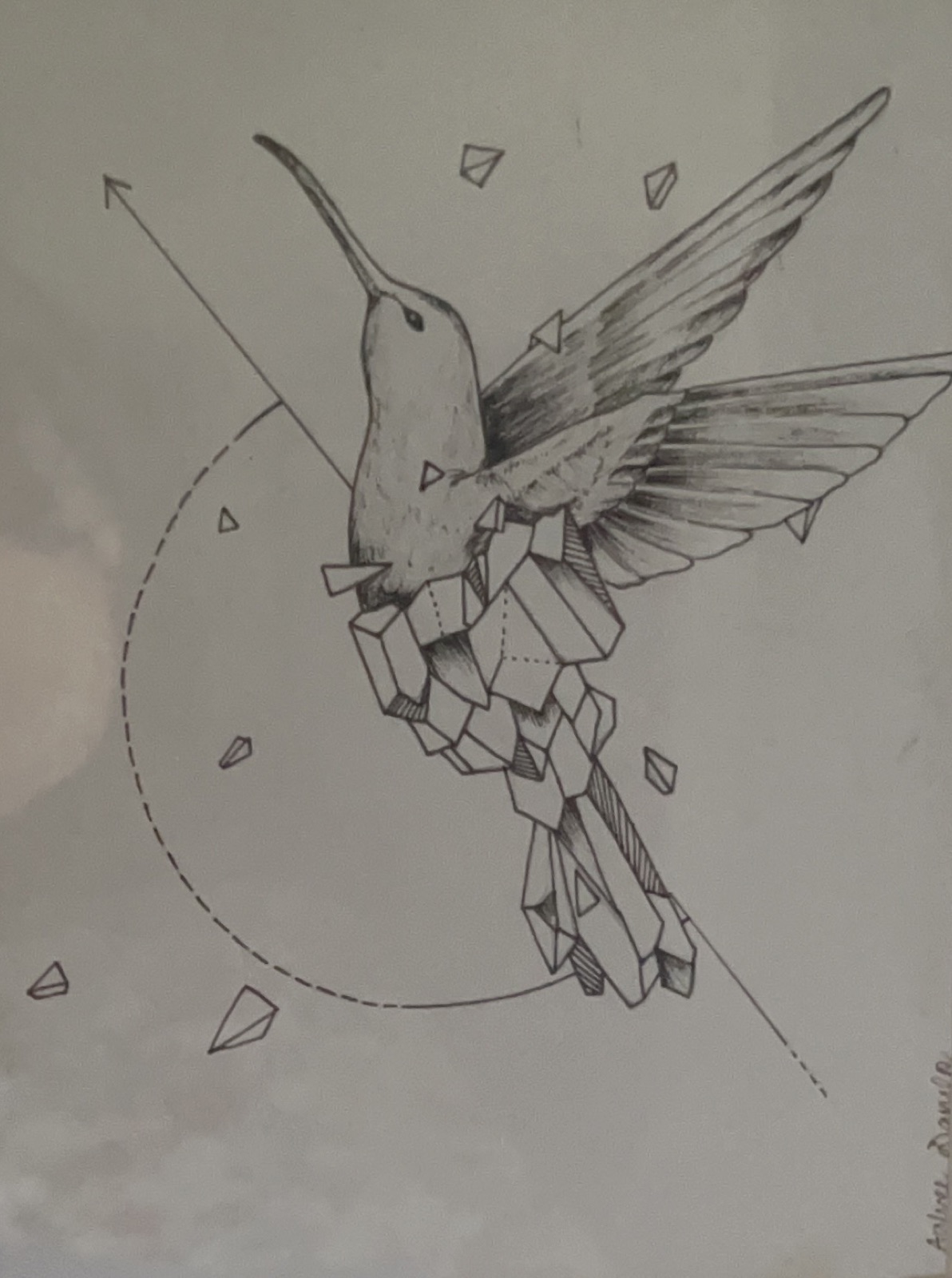 Pen and ink hummingbird whose tail breaks into crystal forms