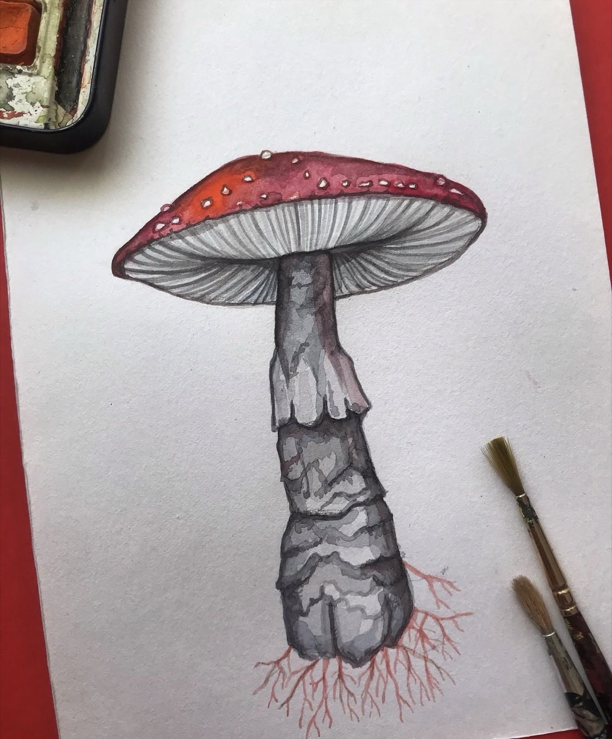 Watercolour fly agaric mushroom with red root system