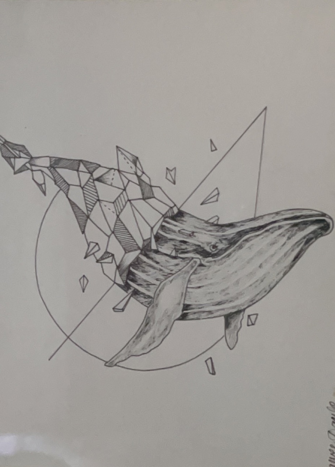 Pen and ink humpback whale dissolving into geometric facets