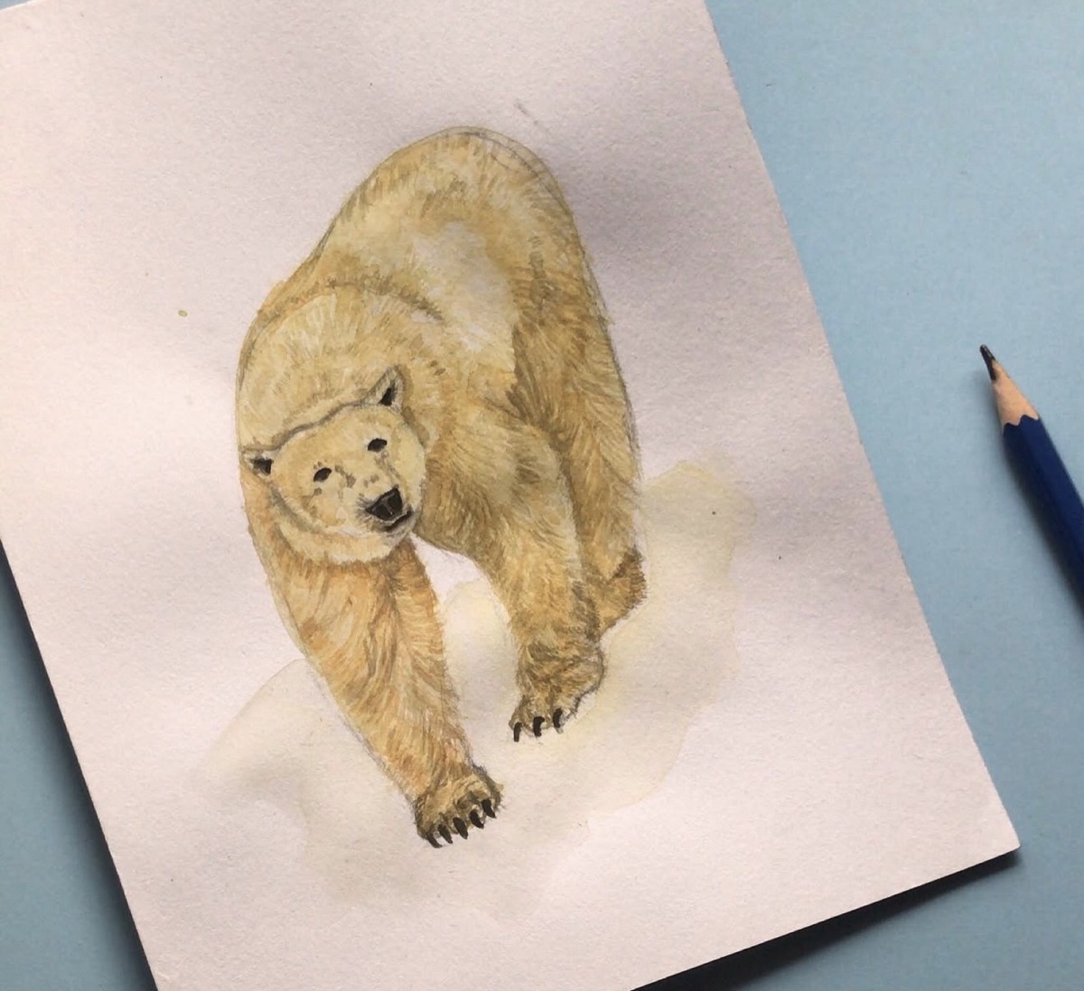 Watercolour polar bear mid-stride